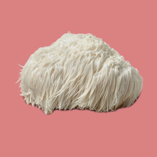 The Brain Benefits of Lion's Mane Mushroom