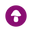 logo of Mushroom Wellness Shots & Extracts | shroomworks | United States