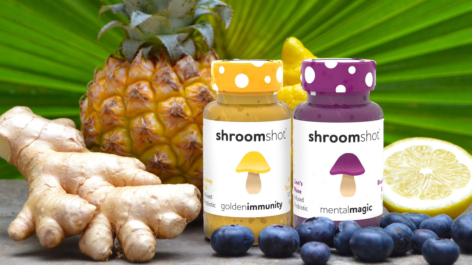 Twho Shroomworks shot bottles in front of a pineapple, ginger root, lemon and blueberries
