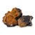 Chaga Mushroom