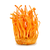Cordyceps Mushroom
